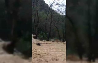 Alanya’da sağanak sonrası su taşkını köprüde...