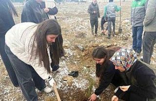 Altıntaş’ta lise öğrencileri fidan dikti