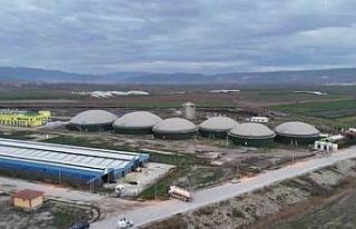 Amasya’da biyogaz tesisinde zehirlenerek hayatını...