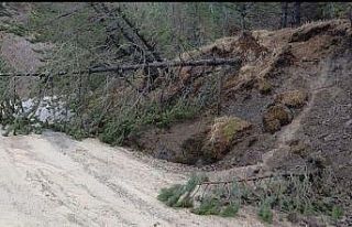 Amasya’da ormanlık alanda heyelan: Ağaçlar devrildi