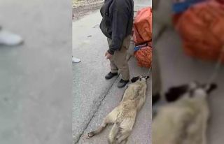 Ankara’da kamyonetin arkasına köpeği bağlayıp...