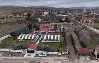 Ankaralı iki kardeş azmetti, hayallerini kır bahçesine...