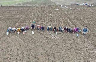 Annenin fedakarlık dolu yolculuğu: Çocukları için...