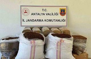 Antalya’da yolcu otobüsünde yarım ton kaçak...