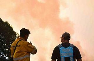 Arjantin’deki orman yangınlarında 50 bin hektarlık...