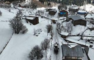 Artvin Orman Bölge Müdürlüğü’nden karla mücadeleye...