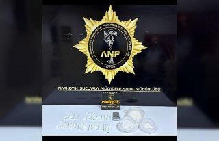 Aydın’da 815 gram uyuşturucu madde ele geçirildi