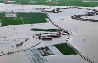Aydın’daki taşkının izleri havadan görüntülendi