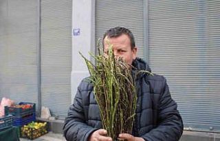 Aydın’ın yöresel lezzeti kedirgen ve sarmaşıklar...