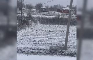 Aydın’ın yüksekleri beyaza büründü