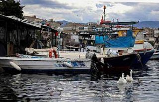 Balık sizden, mazot bizden