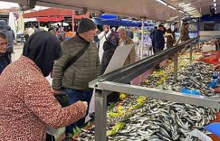 Balık tezgahlarında hamsi yok, vatandaş diğer...