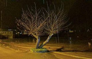 Bartın’da sağanak ve dolu yağışı ırmağı...