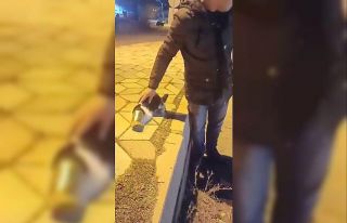 Başına konserve sıkışan kedi kurtarıldı