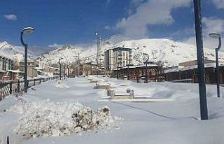 Başkale’de kar yağışı