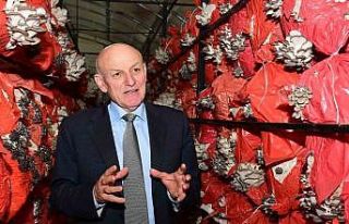 Başkan Kul: "Üreten kadınların yanında olmaya...