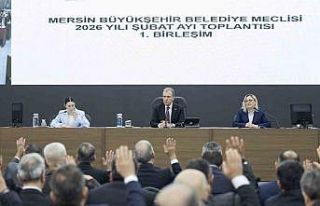 Başkan Seçer: "O yol, Mersin için çok uygun...