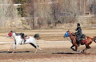 Bayburt’un kurtuluşunun 108’inci yılında cirit...