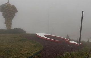 Besni’de yoğun sis hayatı olumsuz etkiledi
