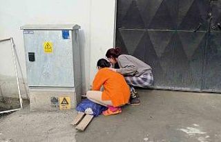 Beyoğlu’nda yangında ölen kedisinin başında...