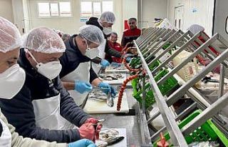 Beyşehir’de su ürünleri istihdamı güçleniyor