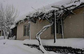 Beytüşşebap ve Uludere ilçelerinde kar yağışı...