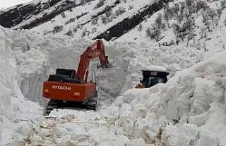 Beytüşşebap’ta çığ alarmı