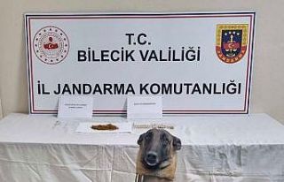 Bilecik’te uyuşturucu operasyonu: 1 gözaltı