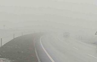 Bingöl’de yoğun sis görüş mesafesini düşürdü