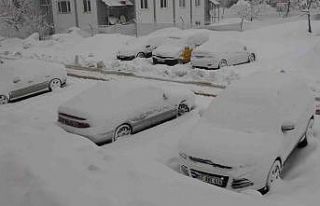 Bitlis’te 165 köy yolu kardan kapandı