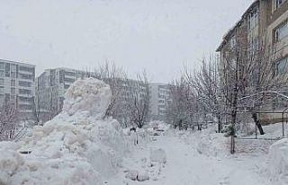 Bitlis’te kar yağışı yeniden etkili olmaya başladı