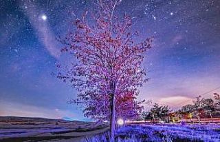 Bitlis’te kış geceleri yıldızlarla buluştu