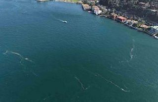 Boğaz’da alarm veren görüntü: Kirlilik denizanasını...