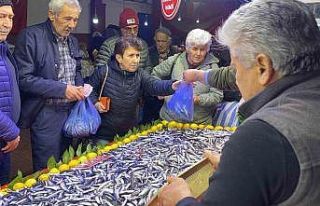 Bolu’da balık tezgahlarında hamsi bolluğu