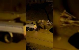 Bolu’da boş araziye atık döken şahsa 152 bin...