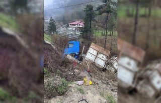 Bolu’da tır şarampole devrildi, elektrik direği...