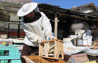 Bu seçimde kazananı ’arılar’ belirleyecek