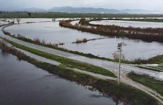 Büyük Menderes nehrindeki taşkın karayolunu kapattı