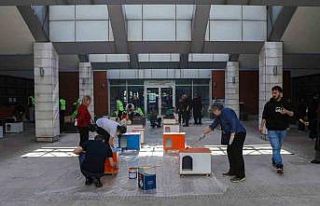 Can dostlara sıcak yuva