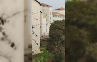 Çanakkale’de fırtına ağaçları devirdi