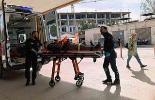 Ceviz ağacından düşen yaşlı adam ağır yaralandı