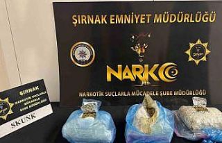 Cizre’de uyuşturucu tacirlerinin "öncü-artçı...