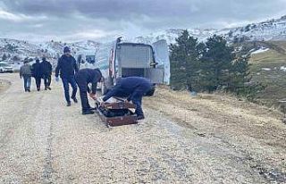 Çorum’da vücudu parçalanarak dere kenarına atılan...