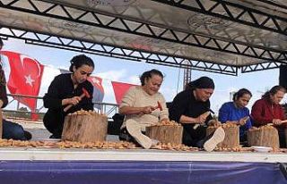 Datça 7. Badem Çiçeği Festivali sona erdi