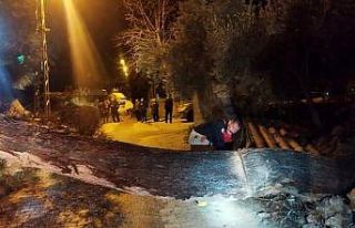 Defne’de devrilen ağaç yolu kapattı