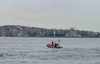 Deniz İbişler’i Beşiktaş açıklarında arama...