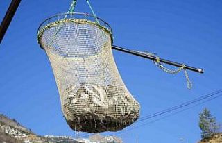 Denizi olmayan Gümüşhane’de alabalık üretimi...