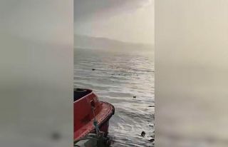 Denizi şehir çöplüğüne çevirdiler