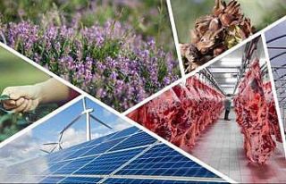 Denizli’de tarımsal kalkınmaya 82 milyonluk hibe...