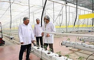 Denizli’nin 2025 bitkisel üretim tablosu yüz güldürdü